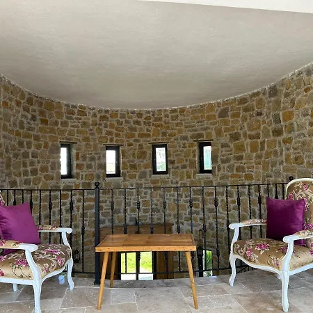 Panaya