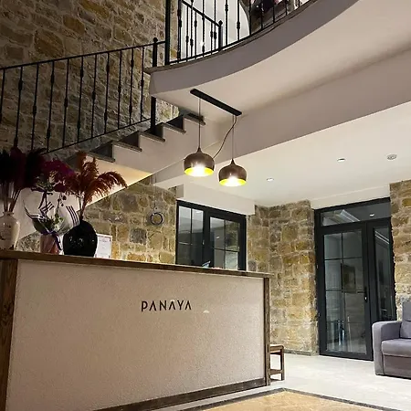 Panaya