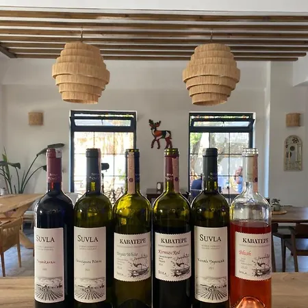 מלון Panaya İmroz