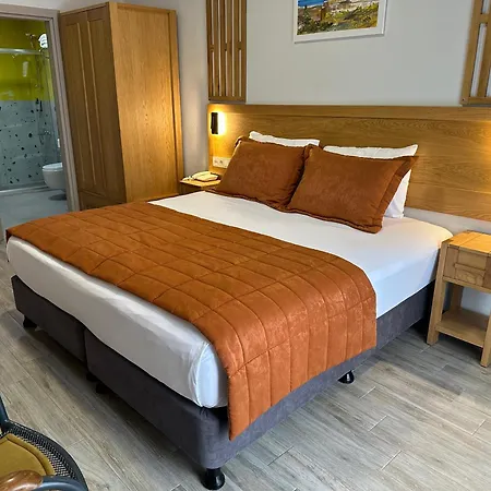 Panaya 3*