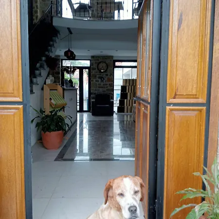 Hotel Panaya 3*