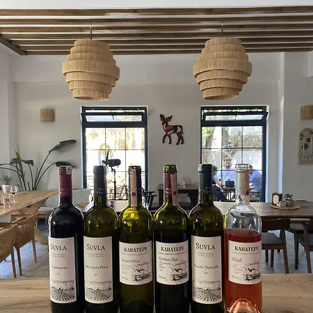 מלון Panaya İmroz