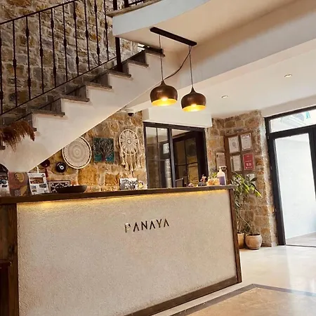 Panaya 3*