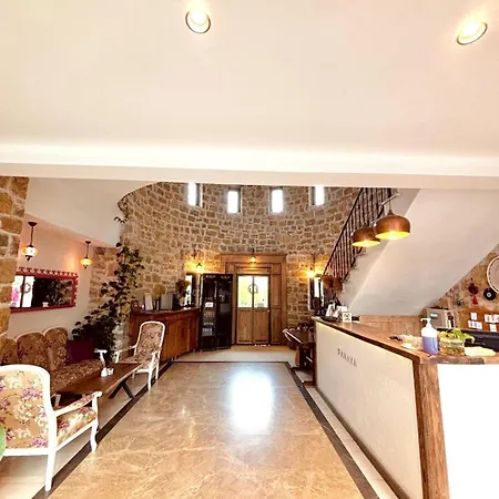 Hotel Panaya 3*